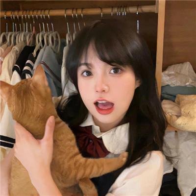 鹰之夜